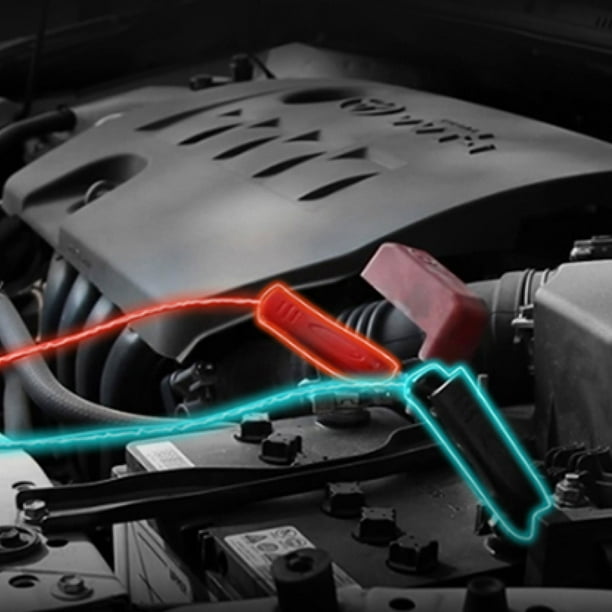 EcoFlow Smart Auto Battery Charger