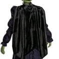 thumbnail image 6 of Universal Pictures’ Wicked Elphaba Kids Prestige Gown Costume, 6 of 8