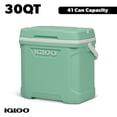 thumbnail image 5 of Igloo 30-Quart Cooler, 5 of 13