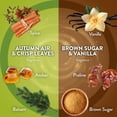 thumbnail image 6 of Air Wick Plug In Scented Oil Air Freshener, Autumn Air & Crisp Leaves + Brown Sugar & Vanilla, 1 Warmer + 6 Refills, 6 of 10