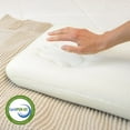 thumbnail image 3 of Imaginarium 2-Pack Memory Foam Fun Pillow with Cooling Cover, 3 of 8