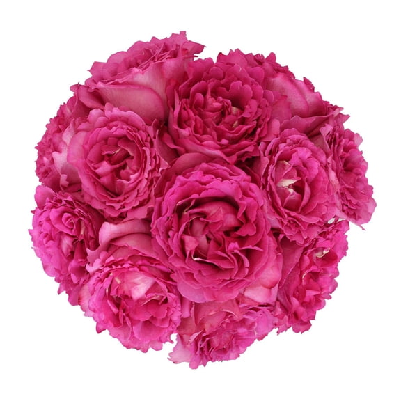 Member's Mark Garden Roses, 36 stems, Choose color variety
