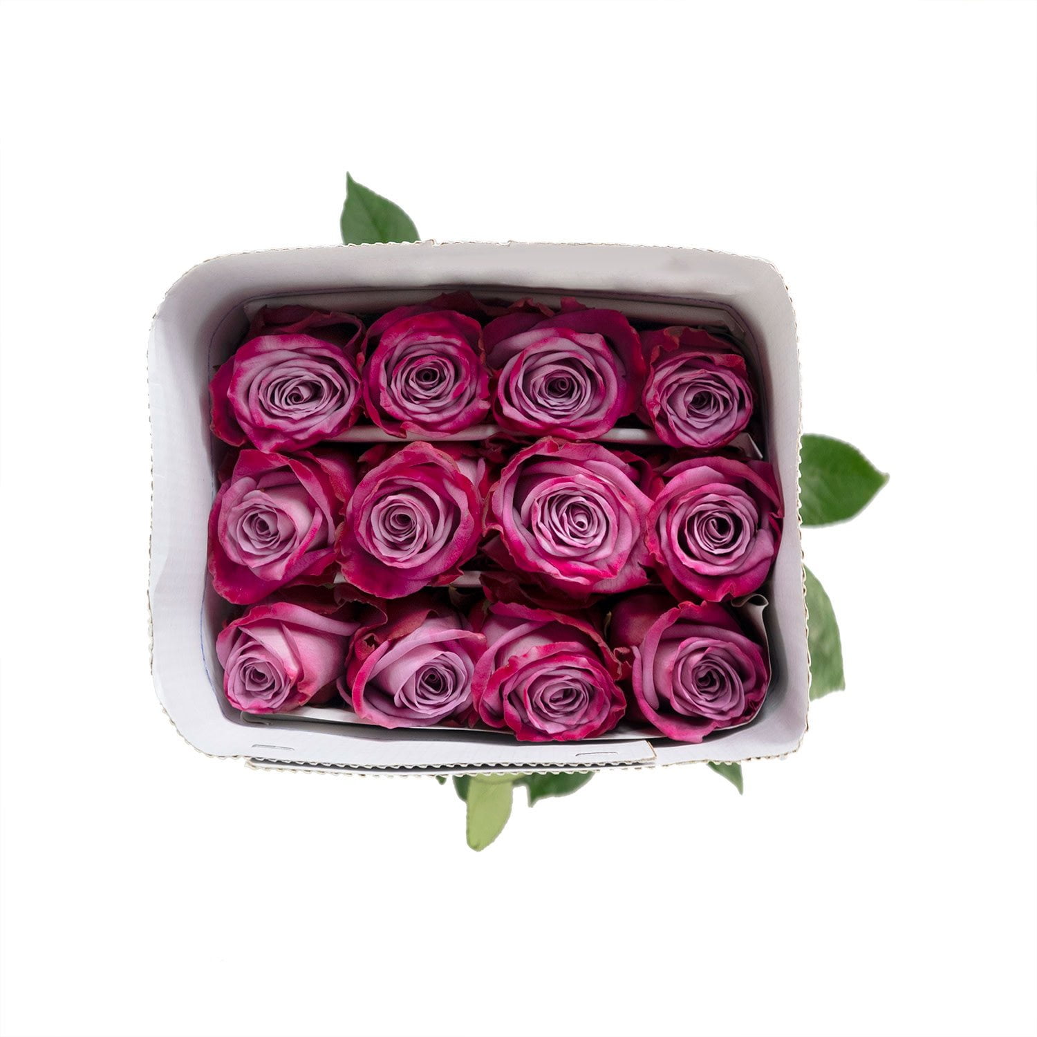 Member's Mark Ecuadorian Premium Roses