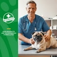 thumbnail image 7 of NaturVet, No Scoot with Pumpkin, Soft Chews for Dogs, 120 ct., 7 of 9