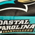 thumbnail image 5 of Logo Brands Coastal Carolina Chanticleers XL Puff Pillow, 5 of 5