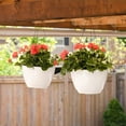 thumbnail image 3 of Mayne Caprio 14" Hanging Basket, Set of 2, 3 of 10