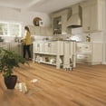 thumbnail image 1 of QuickStep by Mohawk 6mm Cashmere Cove Oak Vinyl Plank Flooring, 1 of 7