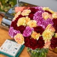 thumbnail image 5 of Member's Mark Carnations, Choose color and stem count, 5 of 6
