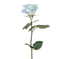thumbnail image 3 of Member's Mark Illusion Roses, choose color and stem count:- 50, Light Blue, 3 of 8