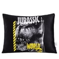 thumbnail image 4 of Kids Licensed 2-Pack Cloud Plush Pillow Set, 20" x 26", 4 of 5