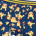 thumbnail image 4 of Character Boys 5-Pack Athletic Boxer Brief, 4 of 4