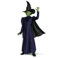 thumbnail image 1 of Wicked Elphaba Kids Deluxe Costume, 1 of 8