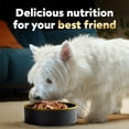 thumbnail image 9 of Cesar Classic Loaf in Sauce Wet Dog Food Variety Pack, 3.5 oz., 48 ct., 9 of 9