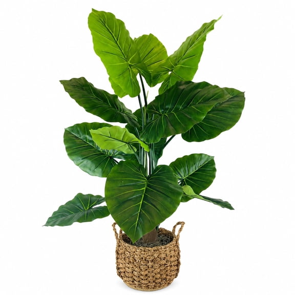 Artificial 54" Taro in Handwoven Basket - Natural or Bi-Color Baskets