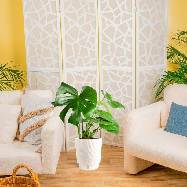 Tropical Foliage Self-Watering Wick & Grow Plant in 10