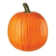 thumbnail image 1 of Pumpkin, 1 ct., 1 of 3