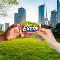 thumbnail image 6 of Extra Sweet Watermelon Sugar Free Chewing Gum, 35 pcs., 6 ct., 6 of 9