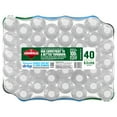 thumbnail image 4 of Arrowhead Mountain Spring Bottled Water, 16.9 fl. oz., 40 pk., 4 of 4