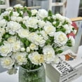 thumbnail image 5 of Member's Mark Mini Carnations, Choose color and stem count, 5 of 6