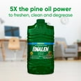 thumbnail image 2 of Pinalen Original Multipurpose Cleaner, Pine Scent 304 fl. oz., 2 of 4