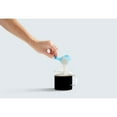 thumbnail image 3 of Vital Proteins Peppermint Mocha Collagen Creamer (5 oz.), 3 of 5