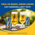 thumbnail image 5 of Barrilito Cerveza Mexican Lager Beer, 12 fl. oz. can, 12 pk., 5 of 5