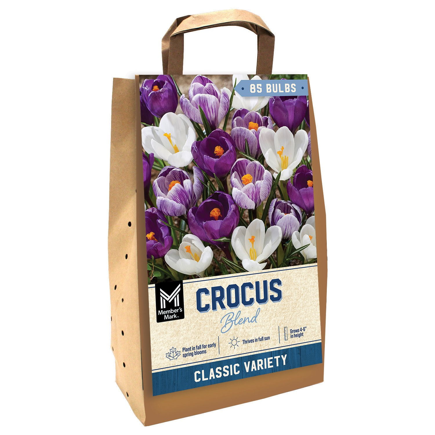Member's Mark Crocus Blend Dormant Bulbs, 85pk - Samsclub.com