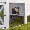 thumbnail image 4 of Backyard Discovery Sweetwater Cedar Wooden Chicken Coop with Run, Nesting Box, and Automatic Door, 4 of 18