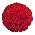 thumbnail image 1 of Member's Mark Ecuadorian Premium Roses, choose color variety and stem count, 1 of 7