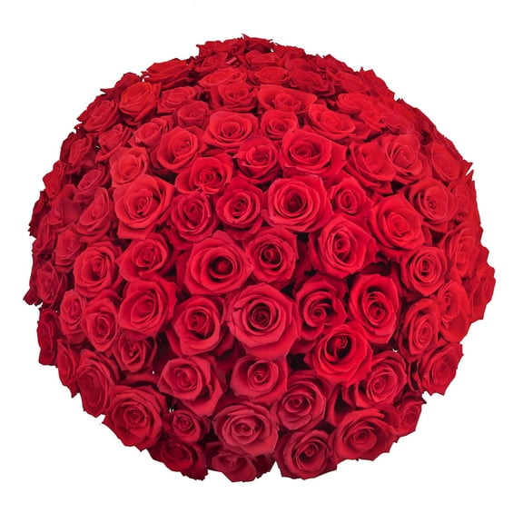 Member's Mark Ecuadorian Premium Roses, choose color variety and stem count