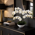 thumbnail image 4 of Artificial 20" Orchid in White Ceramic Planter, Assorted Colors, 4 of 5