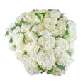 thumbnail image 1 of Member's Mark Hydrangeas, choose color and stem count, 1 of 5