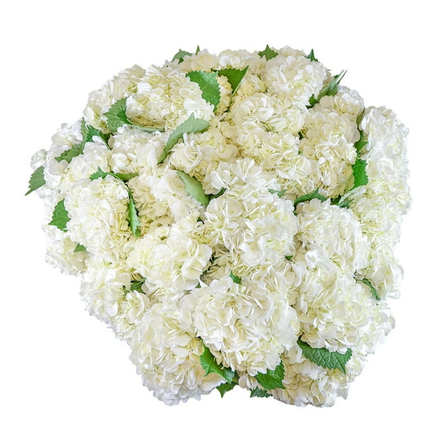 Member's Mark Hydrangeas, choose color and stem count