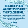 thumbnail image 5 of Splash Refresher Variety Pack 16.9 fl. oz., 24 pk., 5 of 9