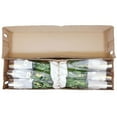 thumbnail image 4 of Member's Mark Spray Roses, Choose color variety and stem count, 4 of 4