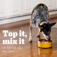 thumbnail image 4 of Pedigree Choice Cuts in Gravy Chicken and Beef Variety Adult Wet Dog Food, 3.5 oz., 54 ct., 4 of 10