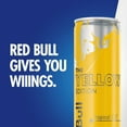 thumbnail image 4 of Red Bull Energy Yellow Edition, 8.4 oz., 24 pk., 4 of 11