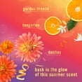 thumbnail image 6 of Febreze Bathroom Air Freshener, Spring Mix, 6 ct., 6 of 10