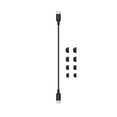 thumbnail image 7 of Beats Studio Buds + True Wireless Noise Cancelling Earbuds, 7 of 7