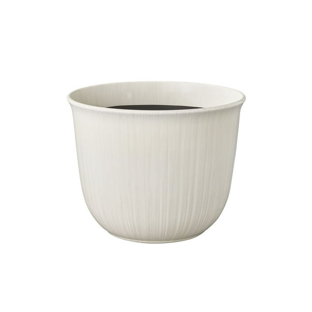 succulent ceramic pot Potted Succulents for Sale| Live Potted Succulents| Succulent Market main image 0