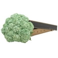 thumbnail image 4 of Member's Mark Color Enhanced Hydrangeas, 20 stems, choose color, 4 of 4