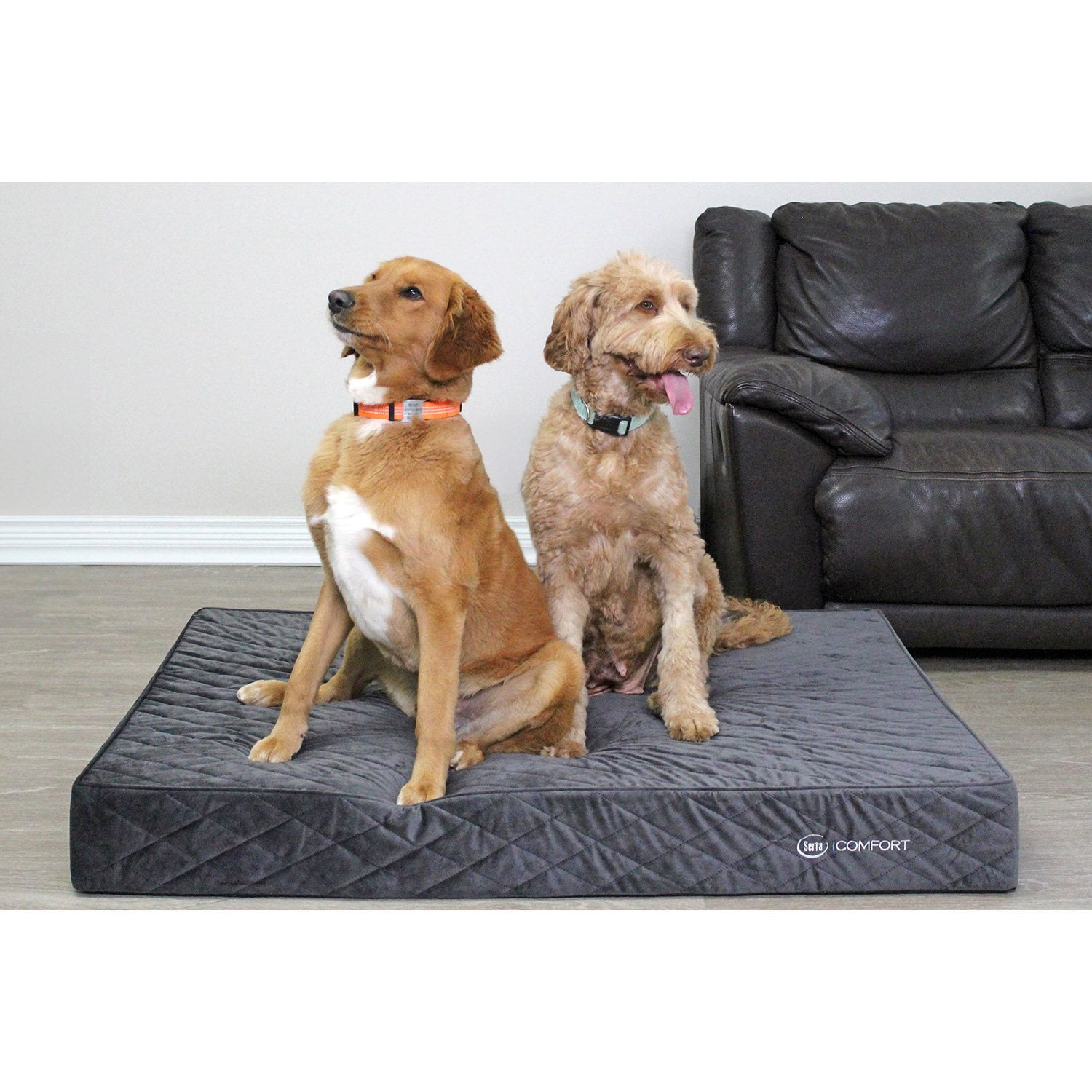iComfort Premium Pet Mattress, Choose Size and Color - Samsclub.com