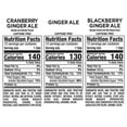 thumbnail image 2 of Canada Dry Winter Variety Pack 12 fl. oz., 36 pk., 2 of 9