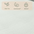 thumbnail image 5 of Zinus Night Therapy Green Tea Zest 10" Memory Foam Mattress, 5 of 8