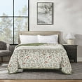 thumbnail interactive-video image 1 of Member's Mark Plush Blanket, 109" x 90", 1 of 7