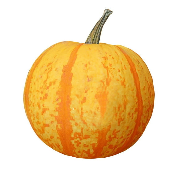 Candy Corn Pumpkin, 1 ct.