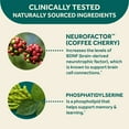 thumbnail image 4 of Neuriva Original Brain Health Supplement Capsules, 42 ct., 4 of 10