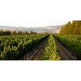 thumbnail image 4 of Hess Select Pinot Noir Red Wine (750 ml), 4 of 4