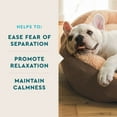 thumbnail image 5 of VETIQ Advanced Calming Soft Dog Chews, Hickory Smoke Flavored 60 ct., 2 pk., 5 of 7