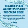 thumbnail image 5 of Splash Refresher Variety Pack 16.9 fl. oz., 24 pk., 5 of 6